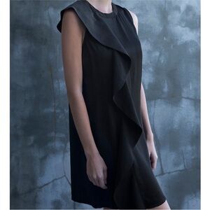 Cuyana Silk Ruffle Mini Dress Small